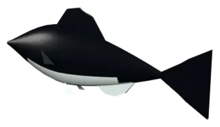 Japanese jack mackerel